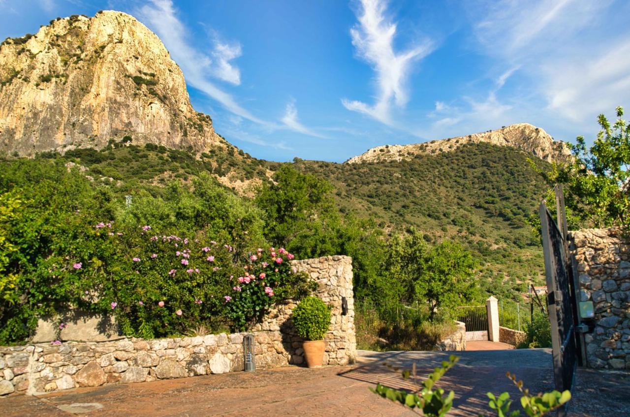 El Valle Dorado El Gastor Dış mekan fotoğraf